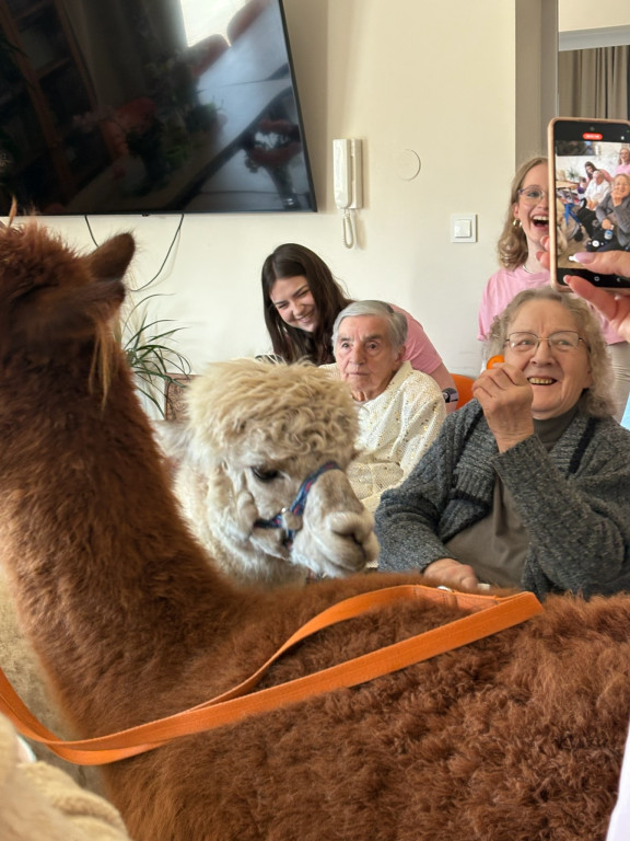 Projekt Wnuczki z Wyboru