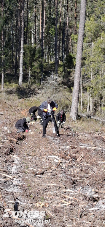 Wspólne sadzenie lasu w Bąckiej Hucie