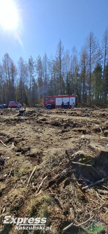 Wspólne sadzenie lasu w Bąckiej Hucie