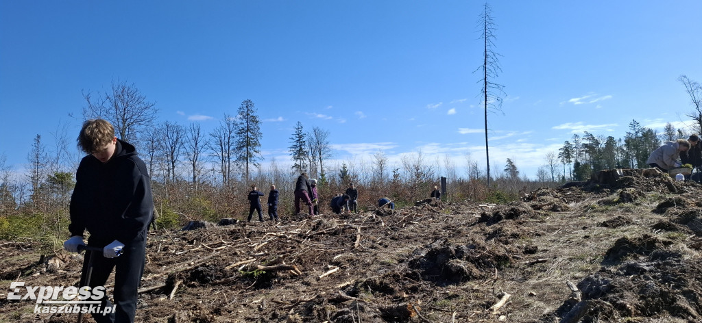 Wspólne sadzenie lasu w Bąckiej Hucie