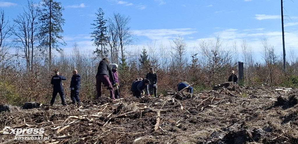 Wspólne sadzenie lasu w Bąckiej Hucie