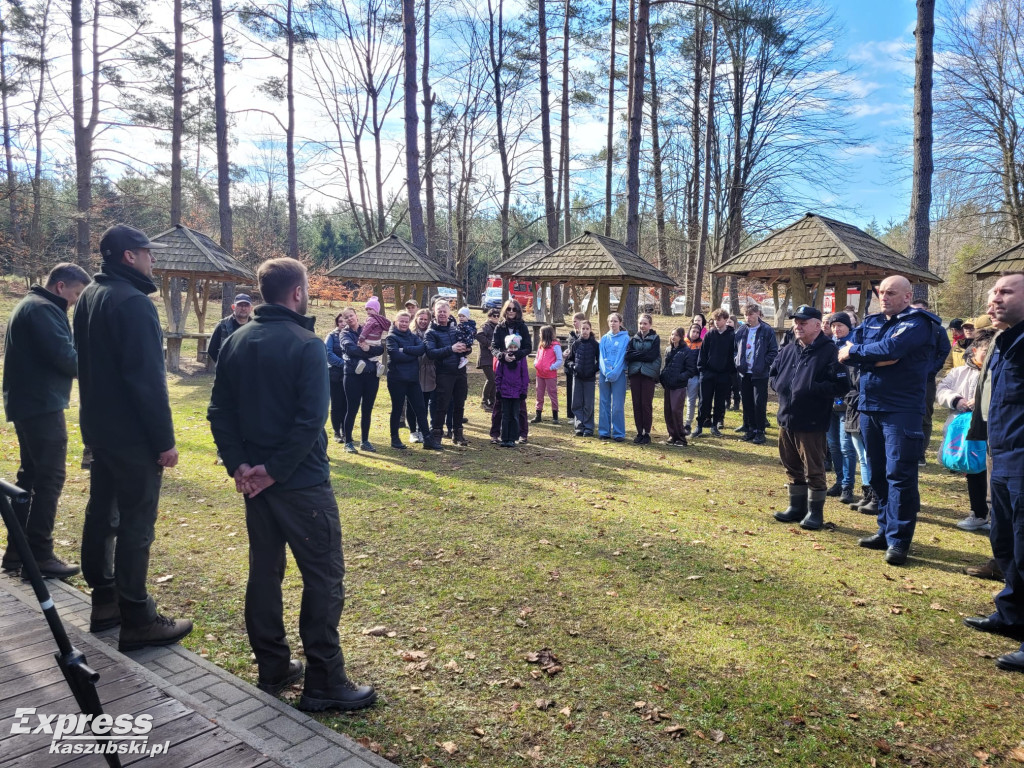 Wspólne sadzenie lasu w Bąckiej Hucie