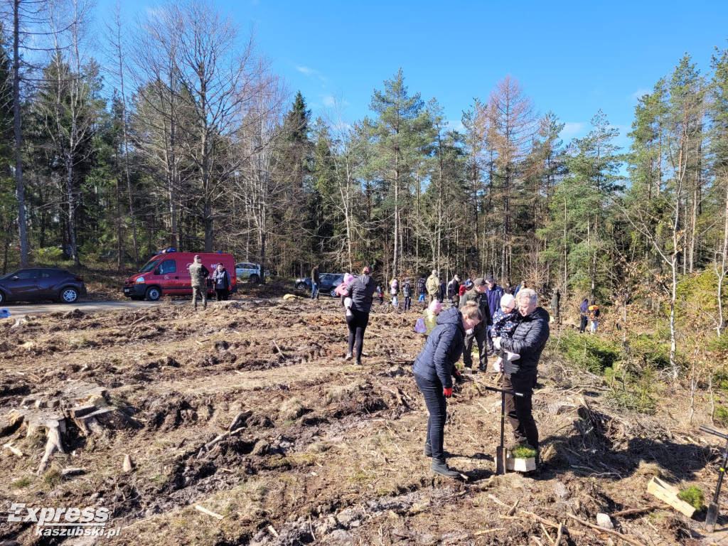 Wspólne sadzenie lasu w Bąckiej Hucie