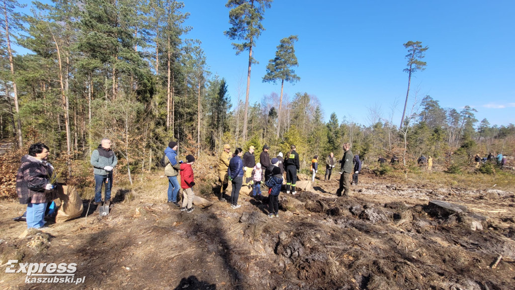 Wspólne sadzenie lasu w Bąckiej Hucie