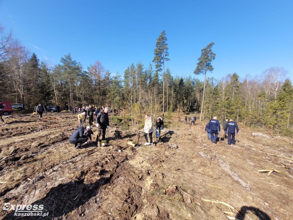 Wspólne sadzenie lasu w Bąckiej Hucie