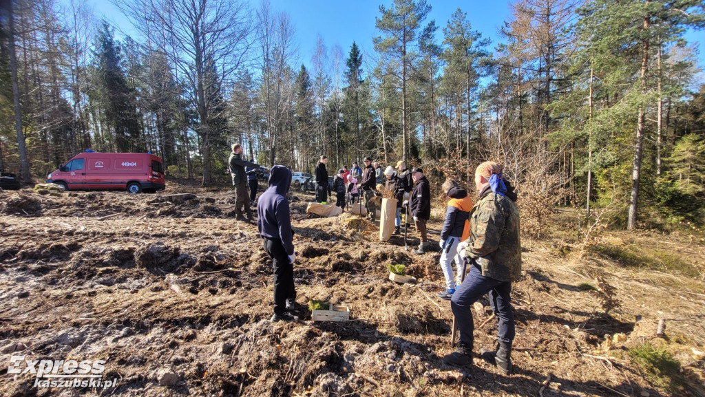 Wspólne sadzenie lasu w Bąckiej Hucie