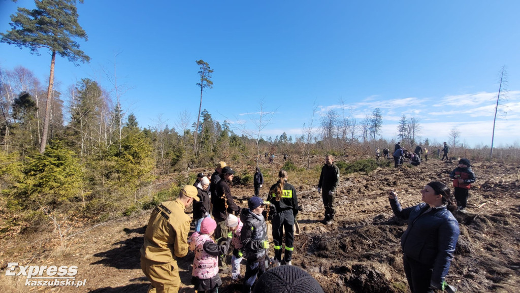 Wspólne sadzenie lasu w Bąckiej Hucie