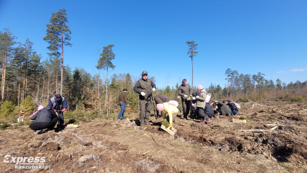 Wspólne sadzenie lasu w Bąckiej Hucie