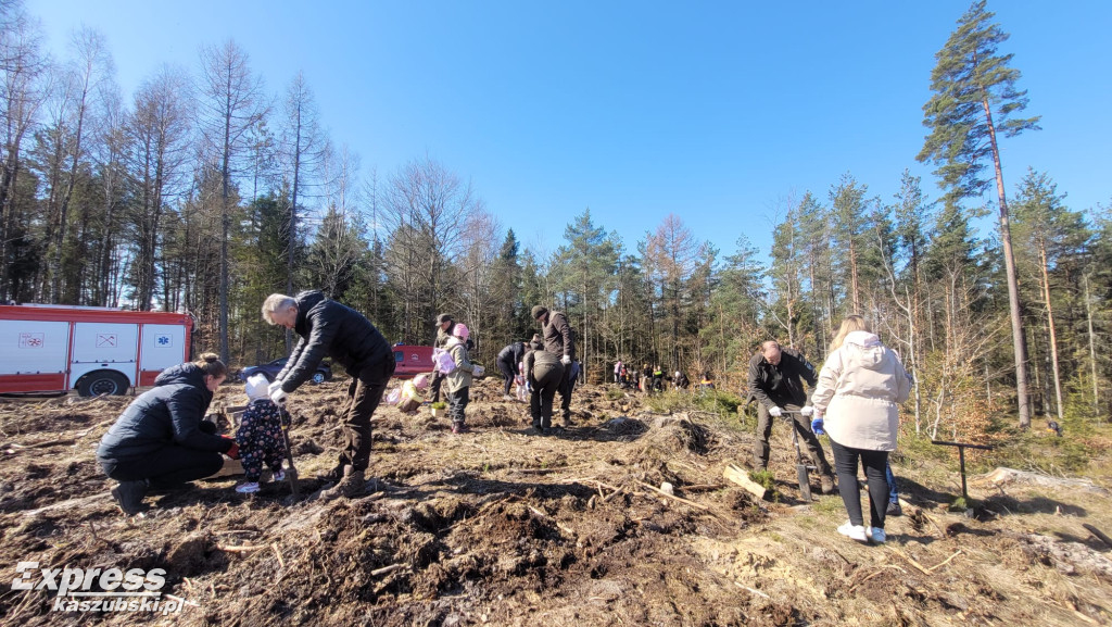 Wspólne sadzenie lasu w Bąckiej Hucie