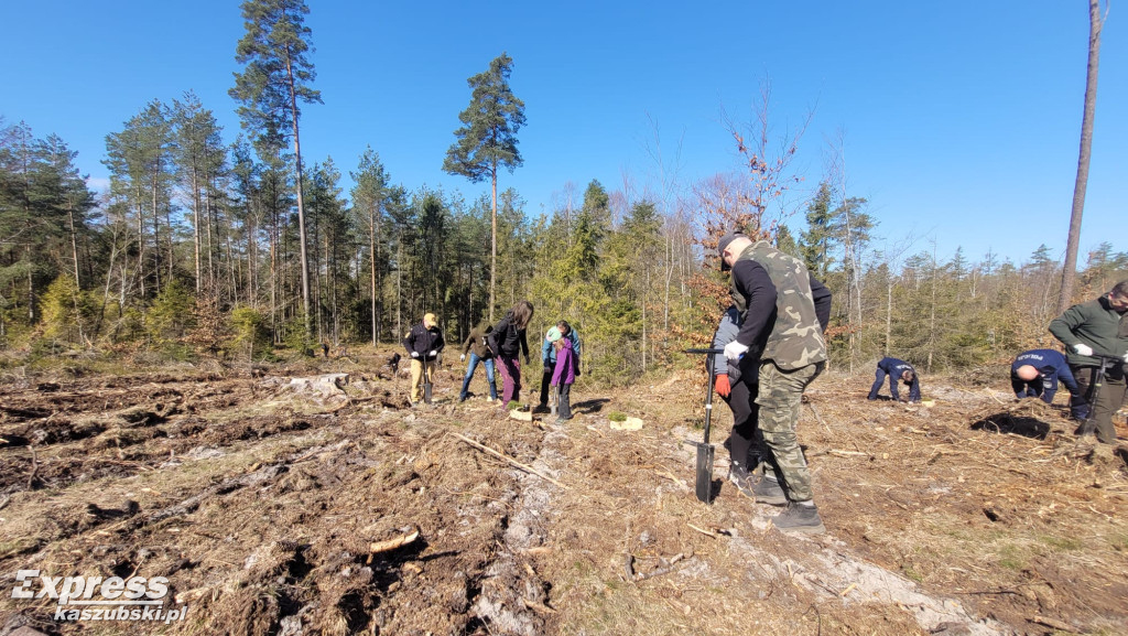 Wspólne sadzenie lasu w Bąckiej Hucie