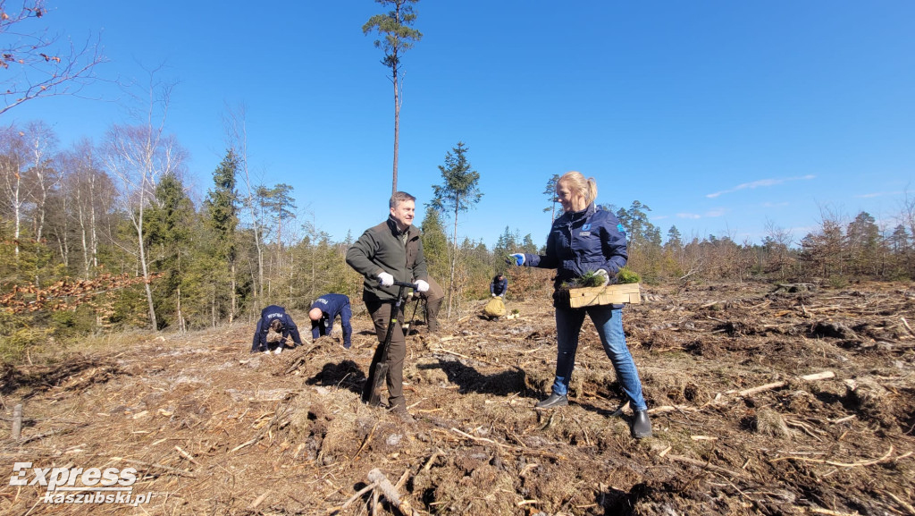 Wspólne sadzenie lasu w Bąckiej Hucie