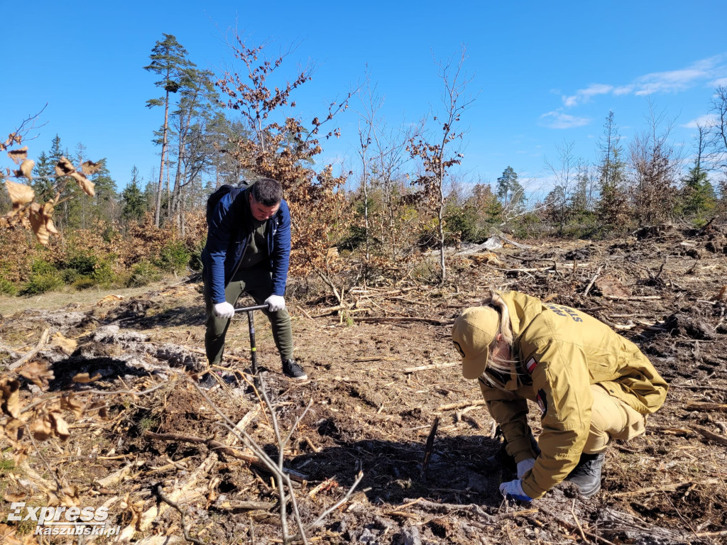 Wspólne sadzenie lasu w Bąckiej Hucie