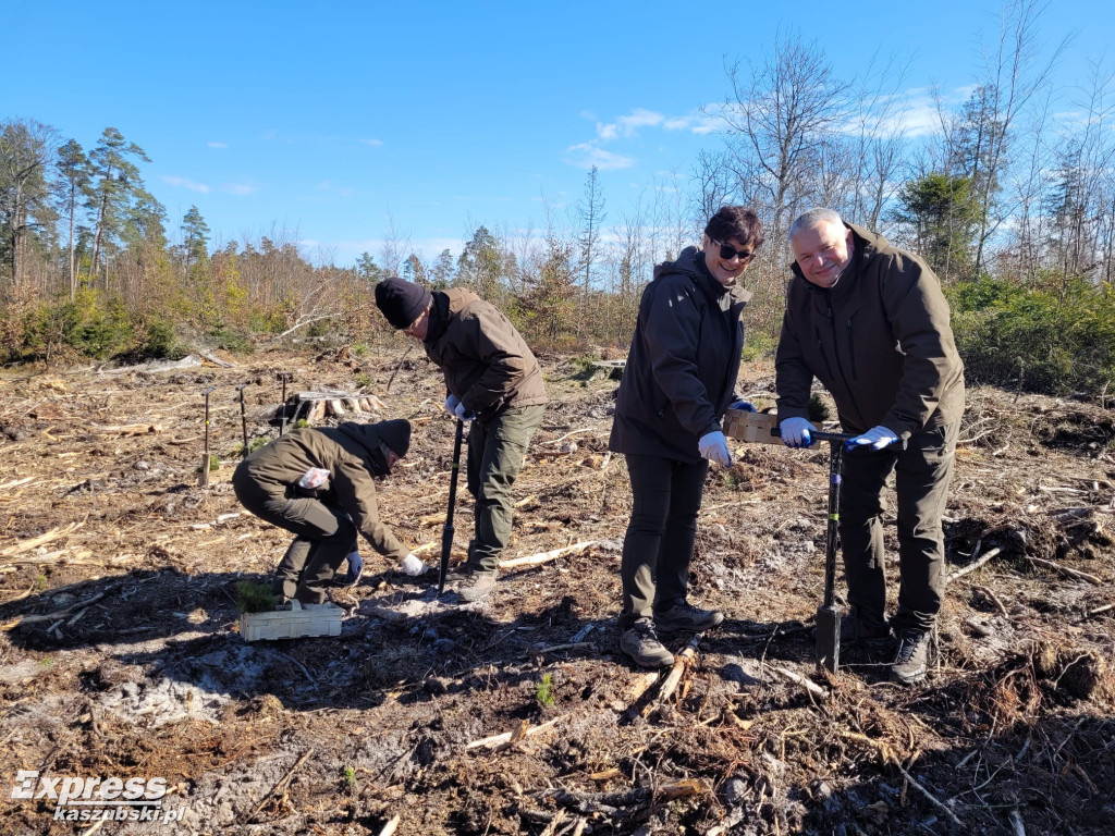 Wspólne sadzenie lasu w Bąckiej Hucie