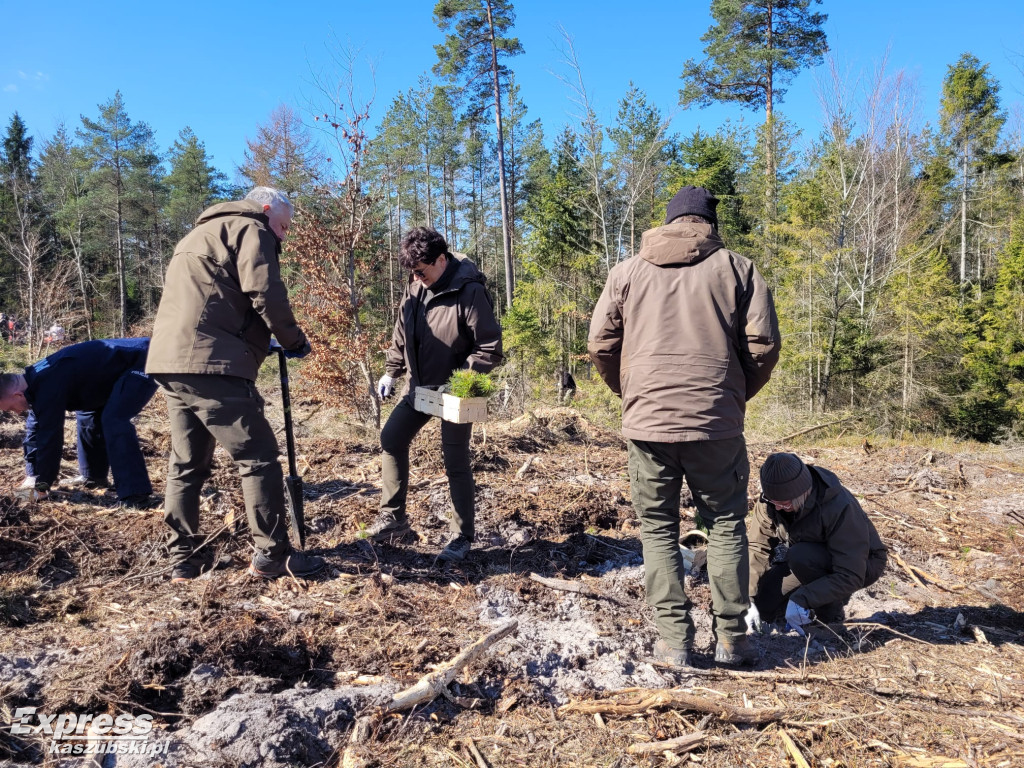 Wspólne sadzenie lasu w Bąckiej Hucie