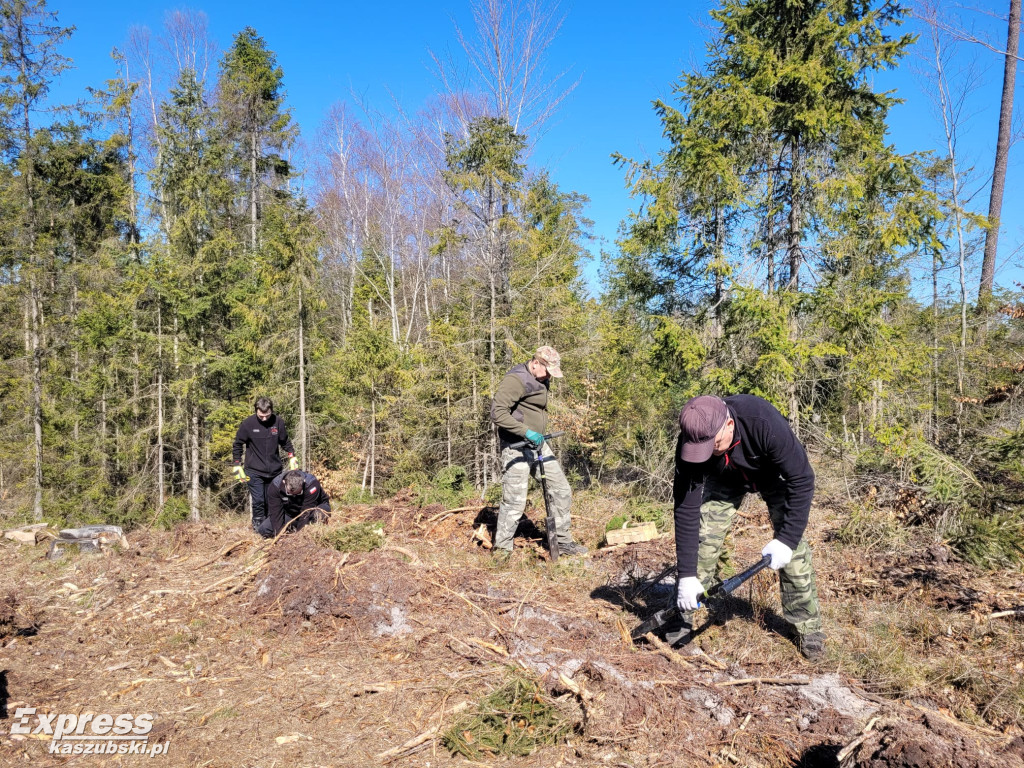 Wspólne sadzenie lasu w Bąckiej Hucie
