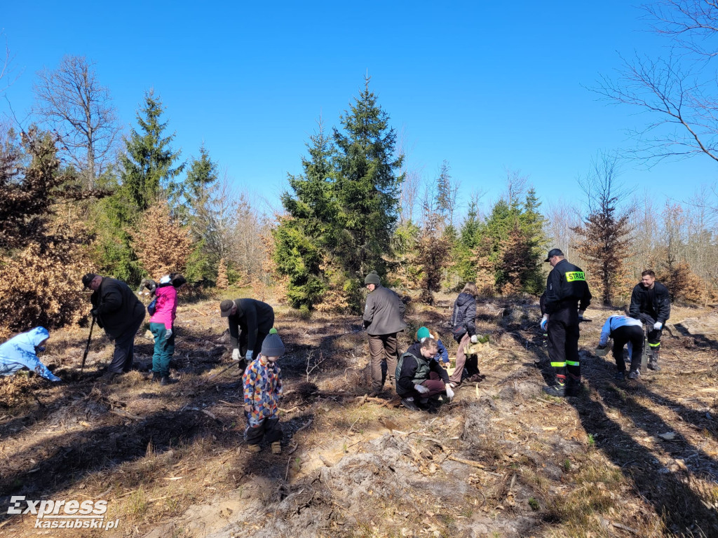 Wspólne sadzenie lasu w Bąckiej Hucie