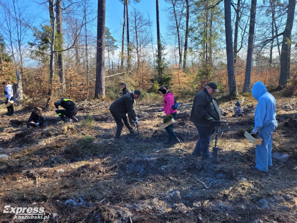 Wspólne sadzenie lasu w Bąckiej Hucie
