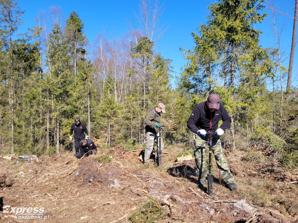 Wspólne sadzenie lasu w Bąckiej Hucie