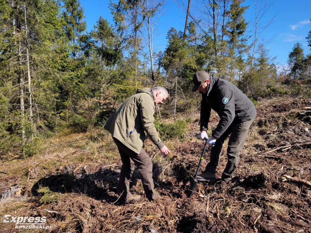 Wspólne sadzenie lasu w Bąckiej Hucie