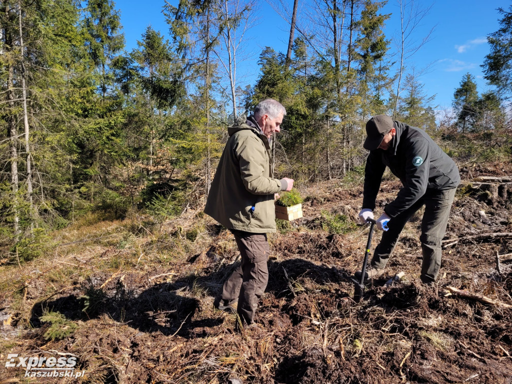 Wspólne sadzenie lasu w Bąckiej Hucie