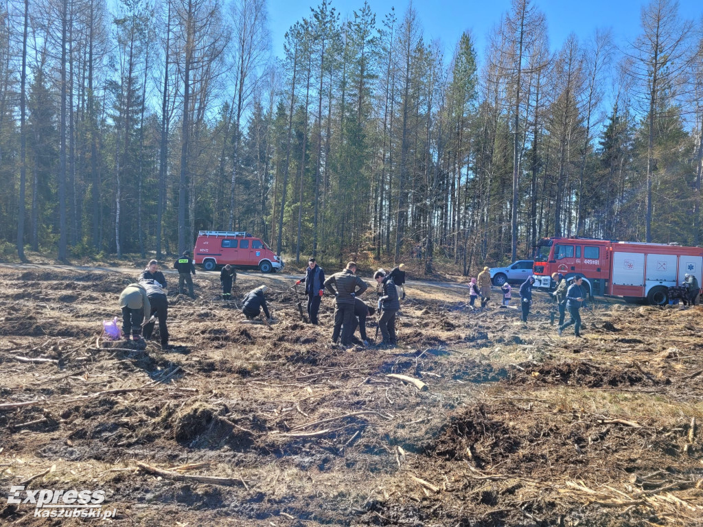 Wspólne sadzenie lasu w Bąckiej Hucie