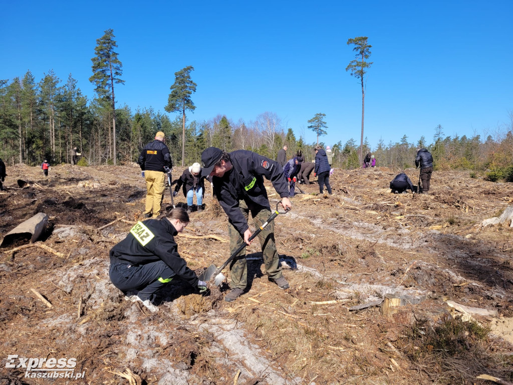 Wspólne sadzenie lasu w Bąckiej Hucie