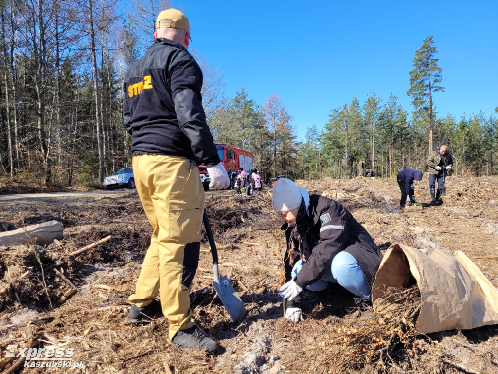 Wspólne sadzenie lasu w Bąckiej Hucie