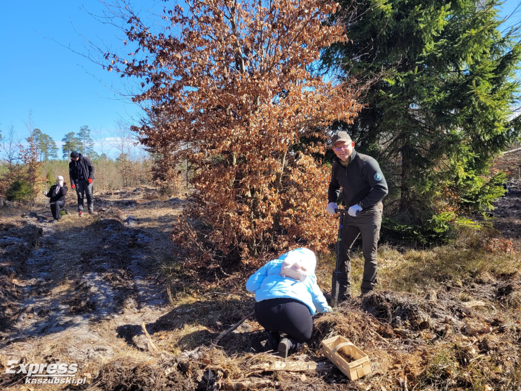Wspólne sadzenie lasu w Bąckiej Hucie