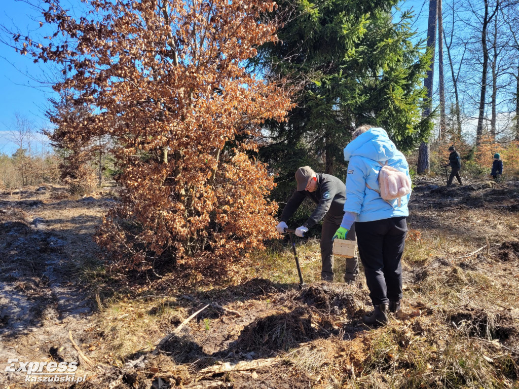Wspólne sadzenie lasu w Bąckiej Hucie