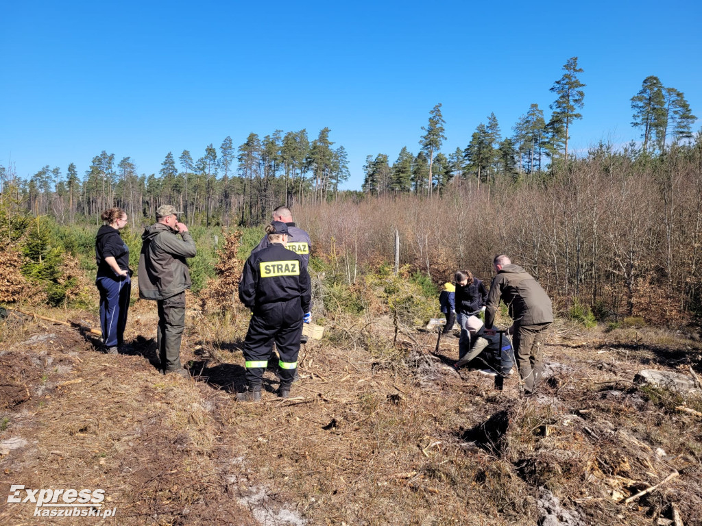 Wspólne sadzenie lasu w Bąckiej Hucie