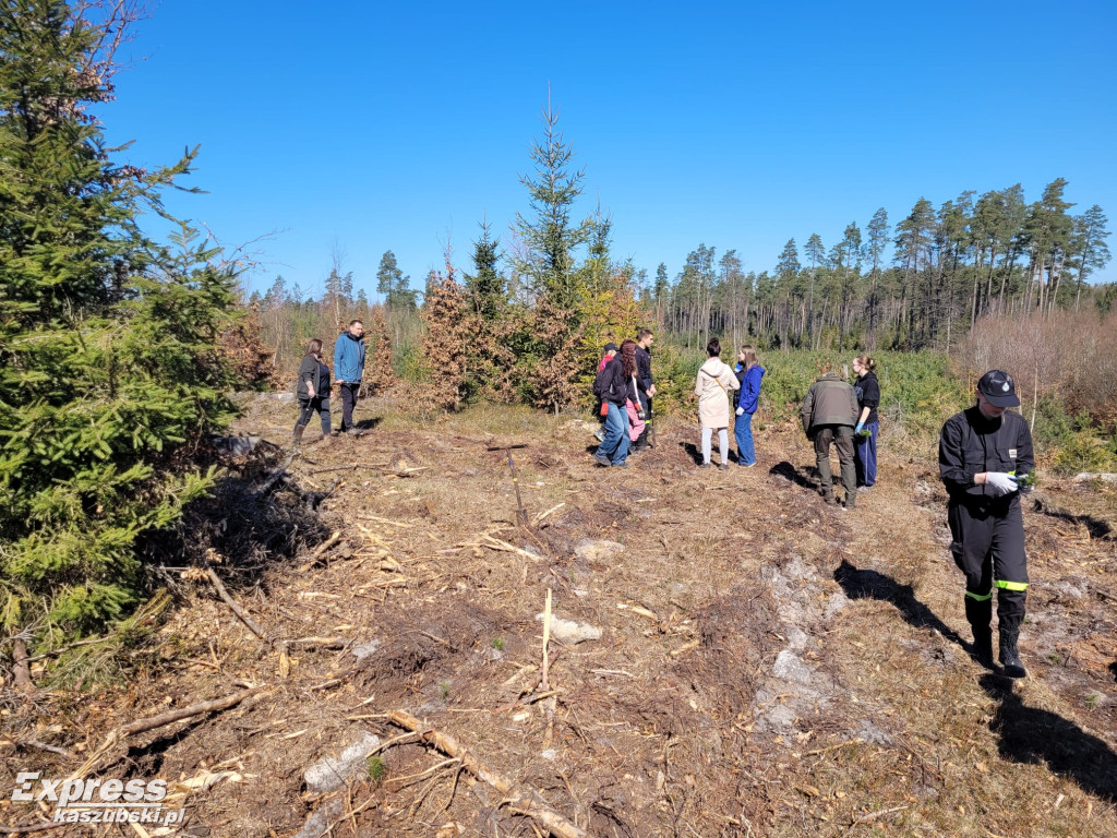 Wspólne sadzenie lasu w Bąckiej Hucie