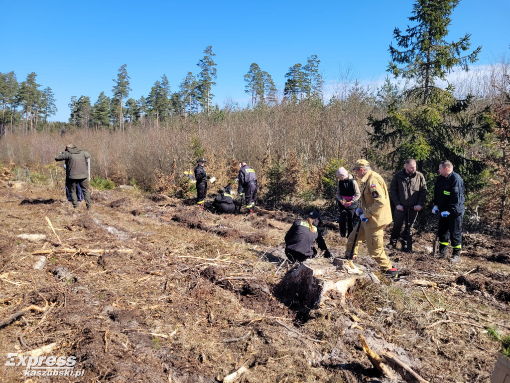 Wspólne sadzenie lasu w Bąckiej Hucie