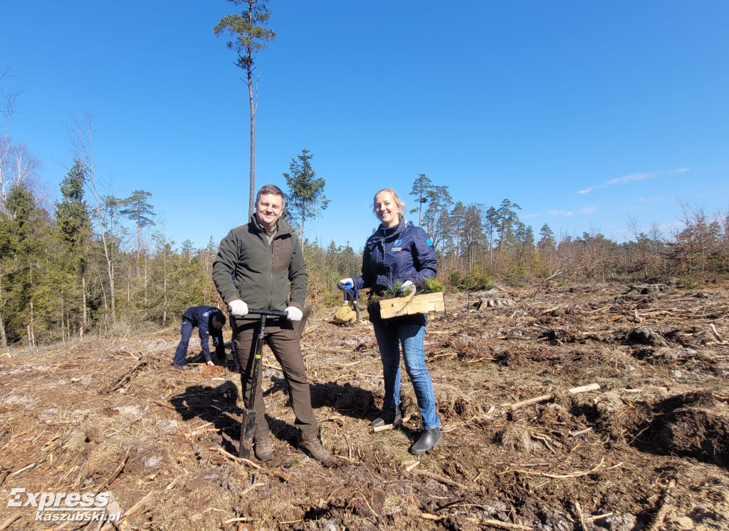 Wspólne sadzenie lasu w Bąckiej Hucie