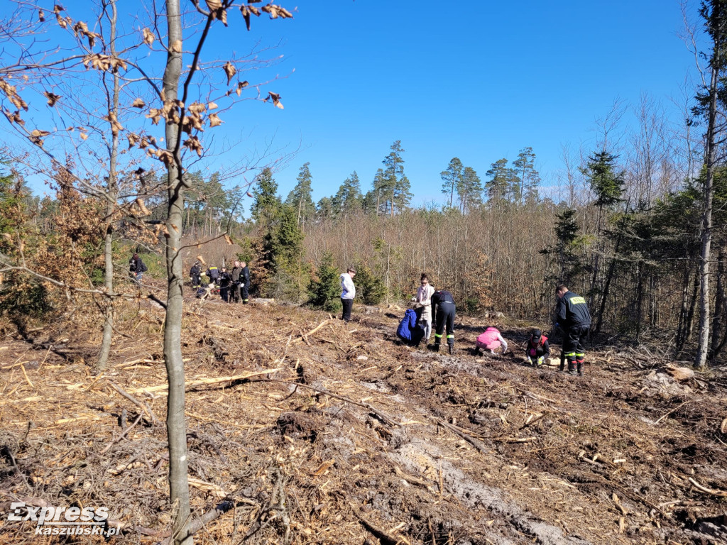 Wspólne sadzenie lasu w Bąckiej Hucie