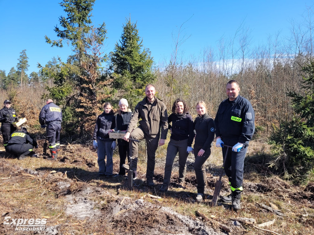 Wspólne sadzenie lasu w Bąckiej Hucie