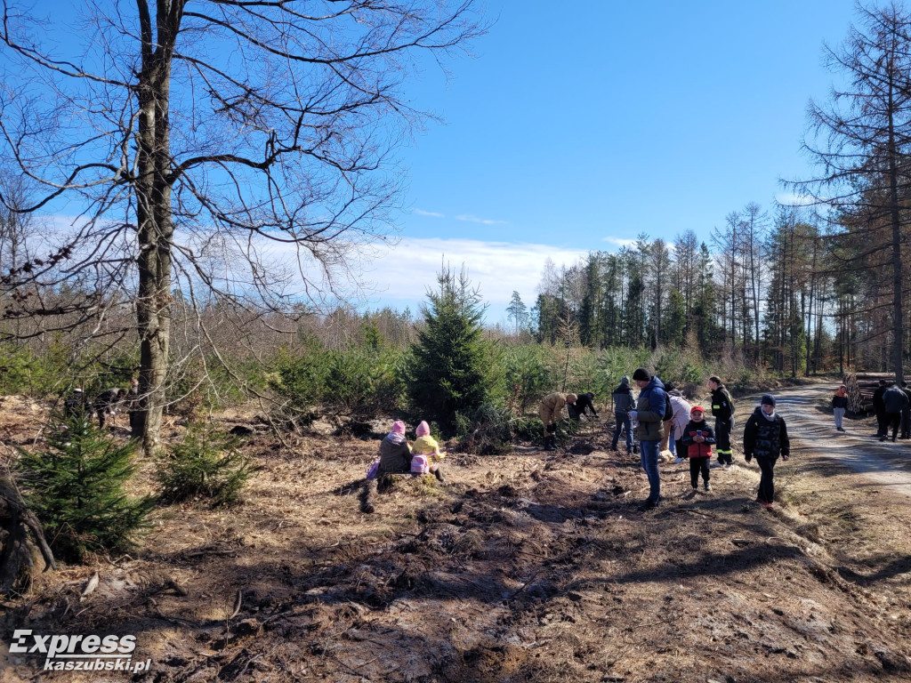 Wspólne sadzenie lasu w Bąckiej Hucie