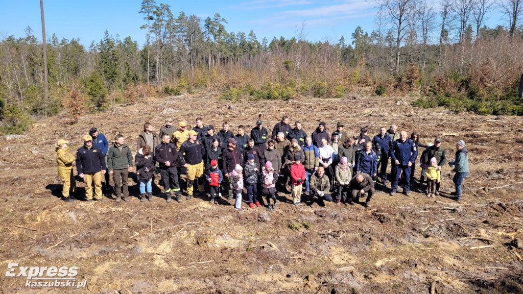 Wspólne sadzenie lasu w Bąckiej Hucie