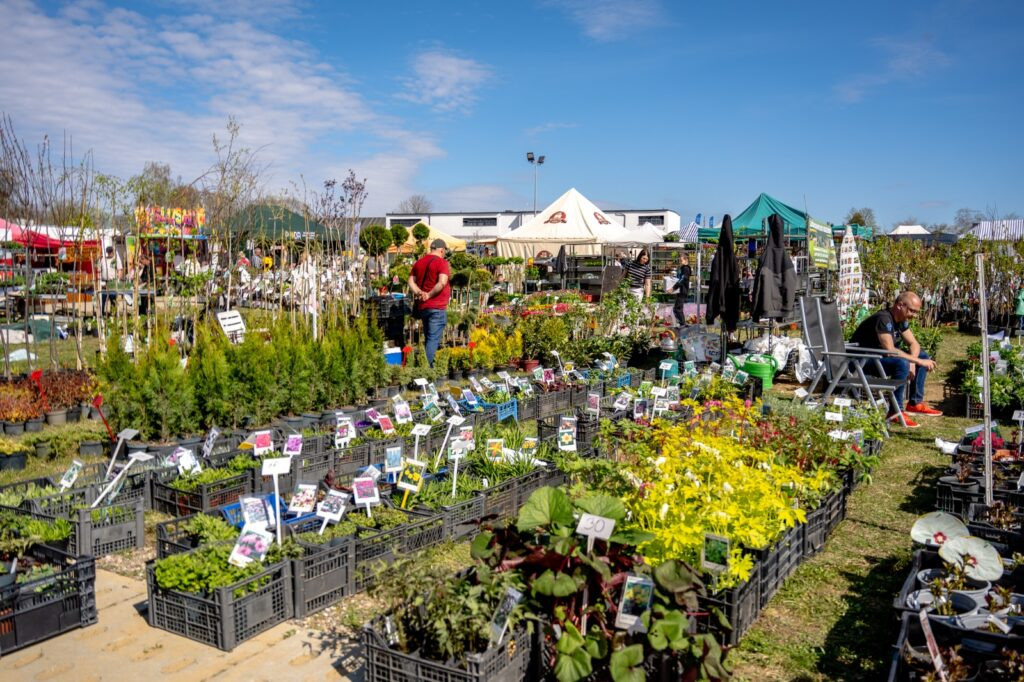 XVI Targi Ogrodniczo-Pszczelarskie w Lubaniu