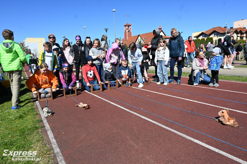 Pola Nadziei 2026 w Kartuzach