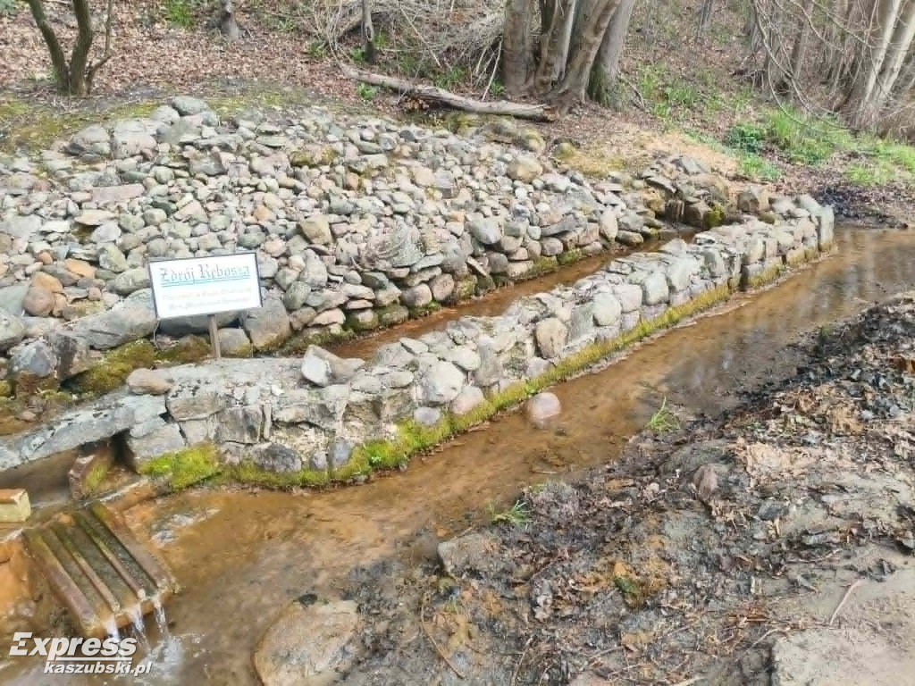 Sprzątanie Ręboszewa