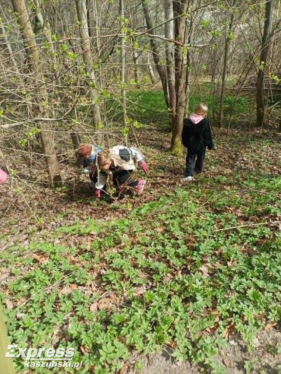 Sprzątanie Ręboszewa