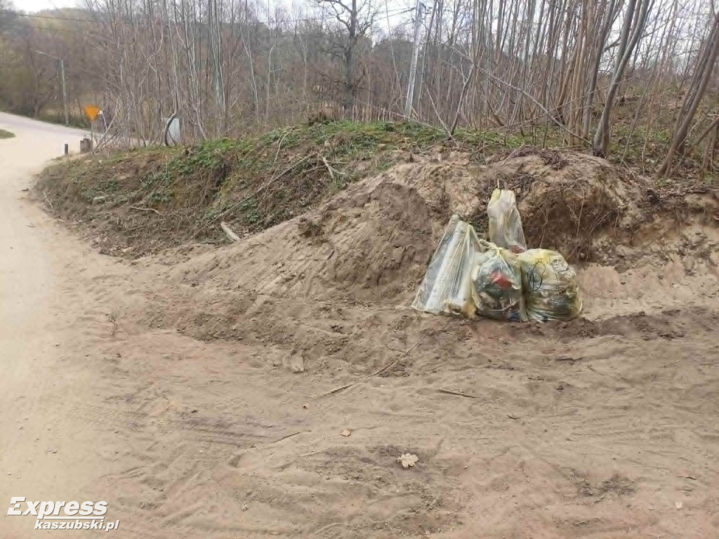 Sprzątanie Ręboszewa