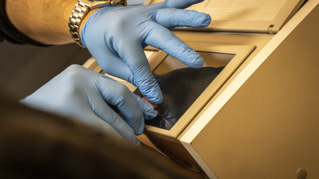 Zatrzymania ws. korupcji przy legalizacji pobytu cudzoziemców