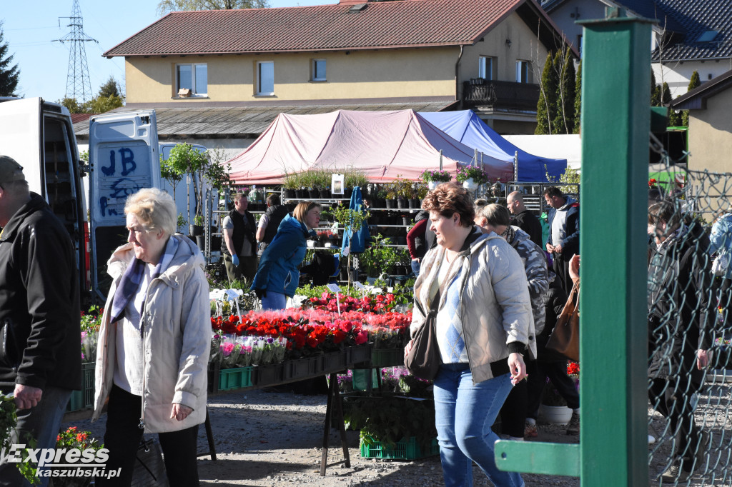 Święto kwiatów i krzewów w Sierakowicach