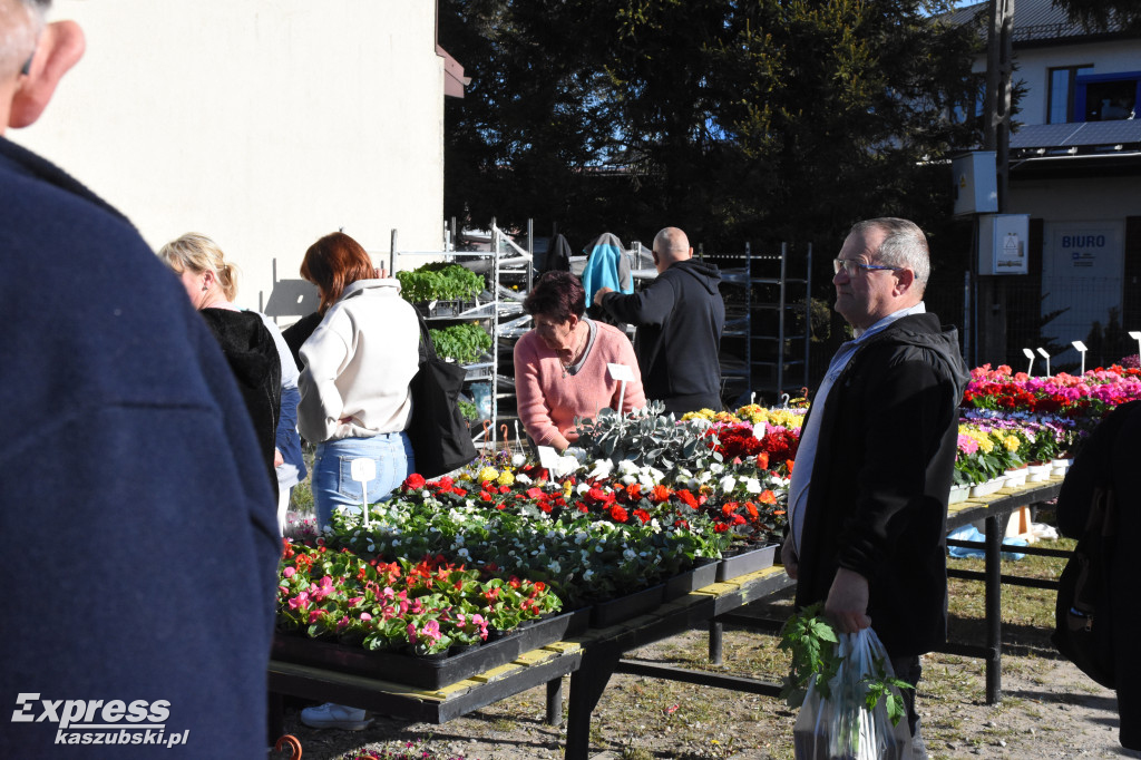 Święto kwiatów i krzewów w Sierakowicach