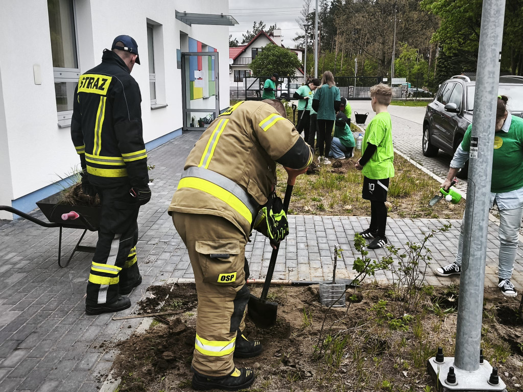 Tradycyjny sad posadzony przy szkole w Baninie