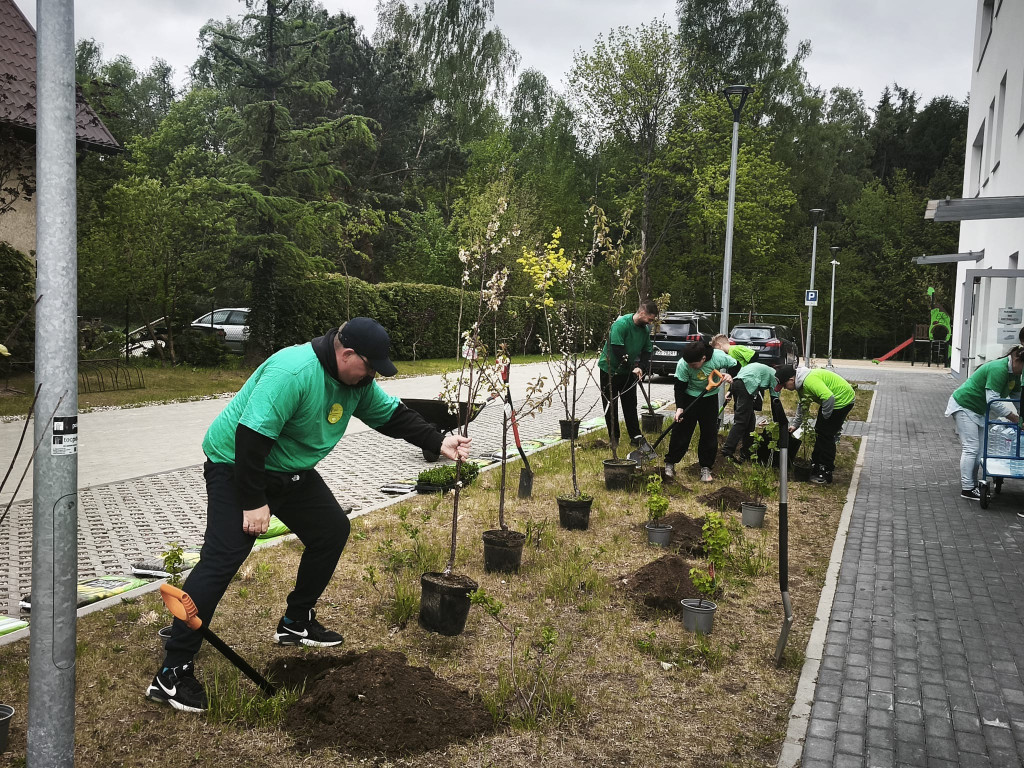 Tradycyjny sad posadzony przy szkole w Baninie