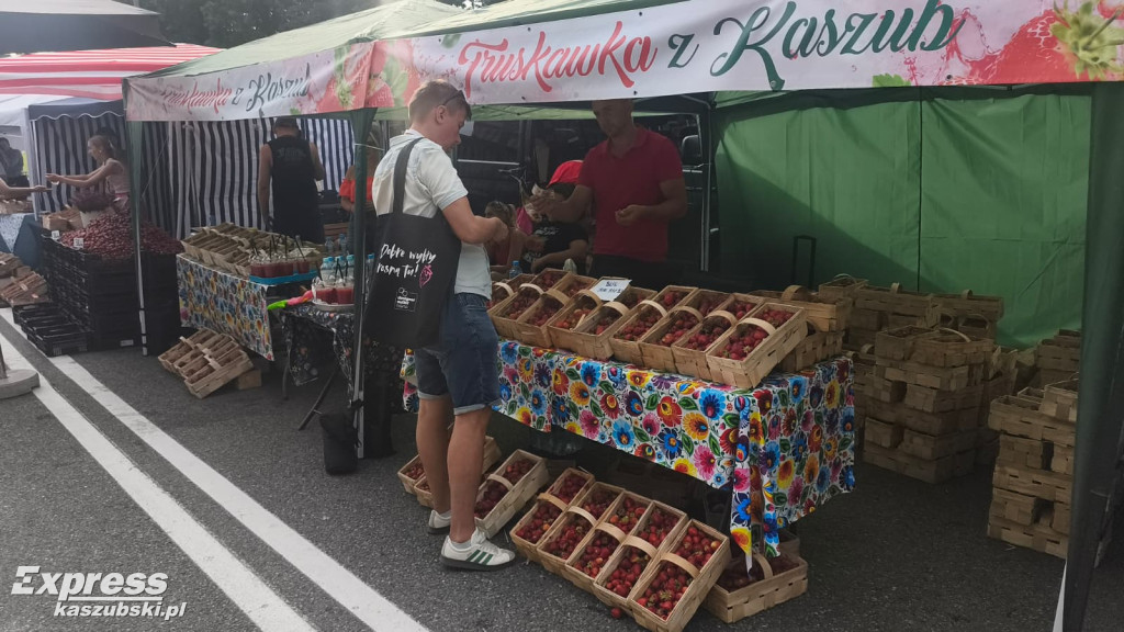 Truskawkobranie na Złotej Górze