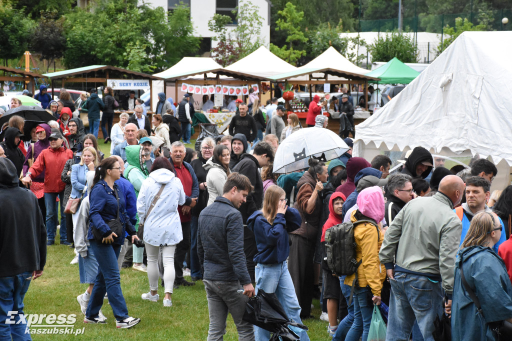 Festiwal Truskawek Kaszubskich