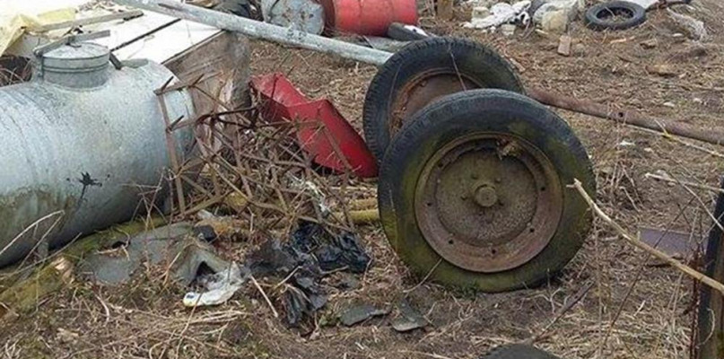 Rolnik uwięził dziki w gospodarstwie. Zamierzał uruchomić hodowlę